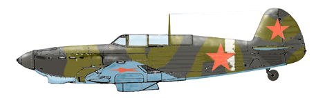 031 YAK 7