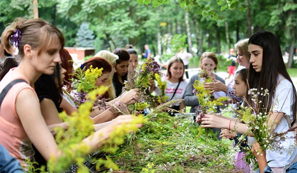 В ночь перед праздником Иван Купала нужно собирать лечебные травы