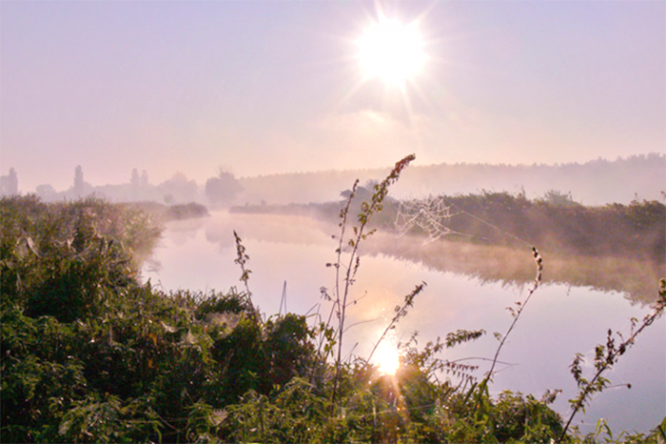 Пойма реки Ирпень в наши дни. Источник – photoclub.com.ua