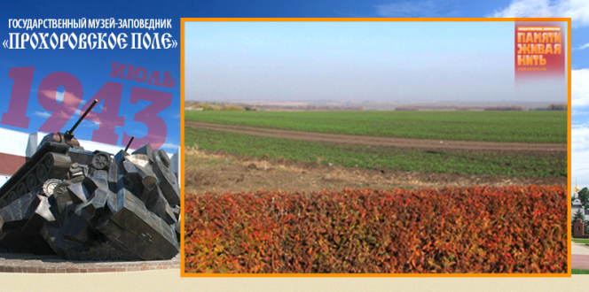 Поле битвы, которое впитало в себя пролитую советскими солдатами кровь...