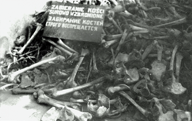 Кости убитых узников концлагеря Майданек. Люблин, Польша