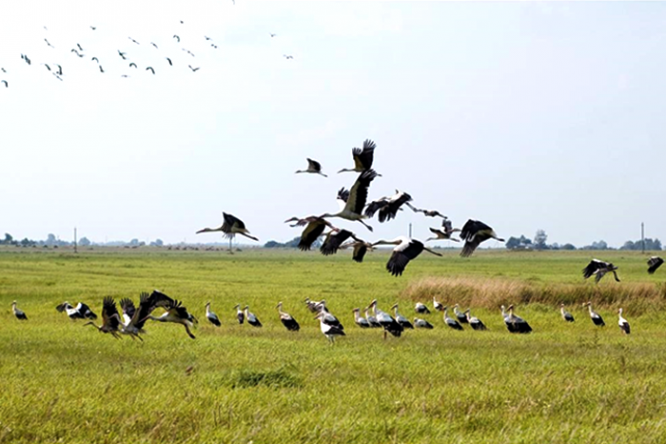 Яблочный Спас