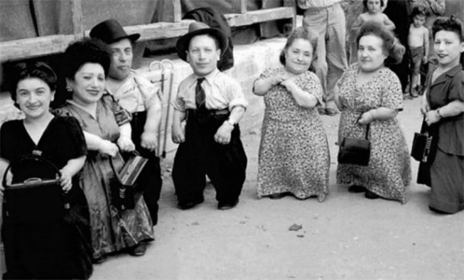 Фашистов интересовали физиологические аномалии. Они проводили эксперименты над оказавшейся в Освенциме семьей Овиц – музыкантов-лилипутов из Румынии.