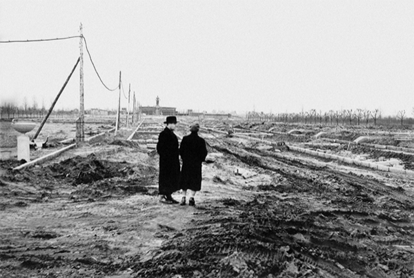 Создание мемориала на Пискарёвском кладбище. 1960 г.