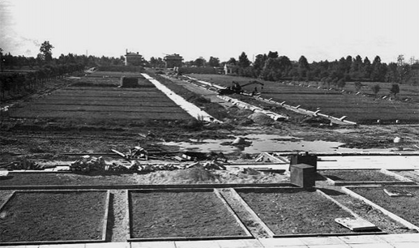 Строительство мемориала. Формирование холмов братских могил. 1959 г.