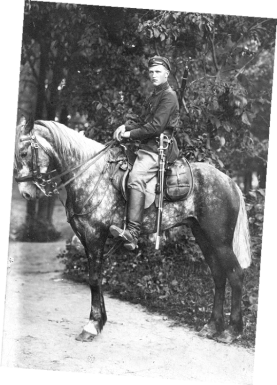 Мой дядя Владимир Сергеев пропал в 1941 году без вести