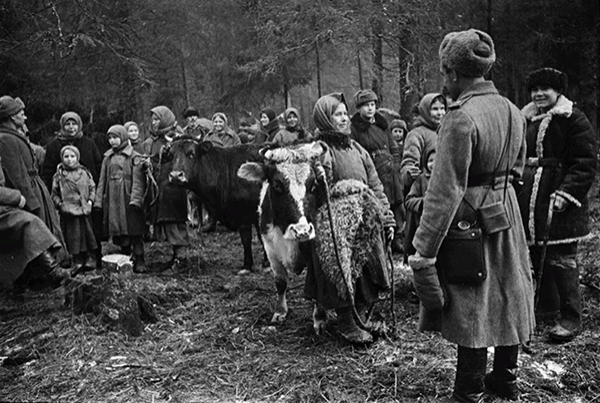 Активисты села уводили ребятв в леса Карпат,&nbsp;спасая от принудительных работ на фашистов. Там они сооружали землянки, налаживали быт