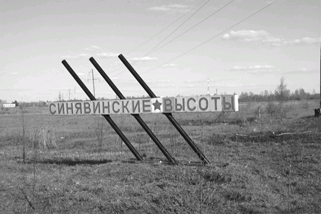 Деревня Синявино и прилегающие к ней районы располагались на цепи Синявинских высот, господствовавших над всей округой. Сторона, захватившая высоты, могла контролировать обширную территорию от Ладожского озера на севере до реки Мги на юге. За все время боев на Синявинских высотах советские войска потеряли свыше 360 000 человек