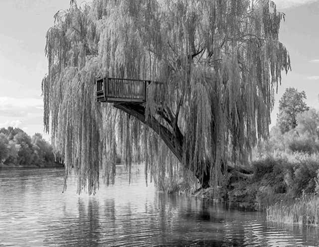 ...На одном из деревьев капитан ночью оборудовал наблюдательный пункт... Изображение сгенерировано по текстовому описанию с помощью нейросети YandexART