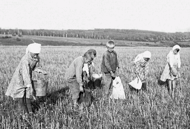 Дети в колхозе в годы Великой Отечественной войны